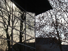 dsc03349 - dsc03349.jpg dsc03349.jpg